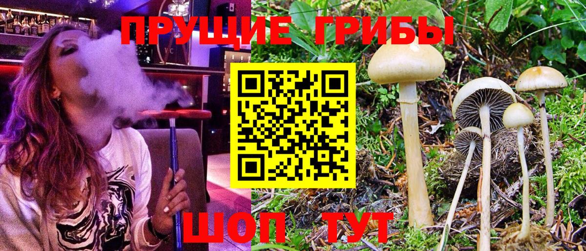 наркотики  Псилоцибиновые грибы ЛСД  Вход с VPN  Павловский Посад 